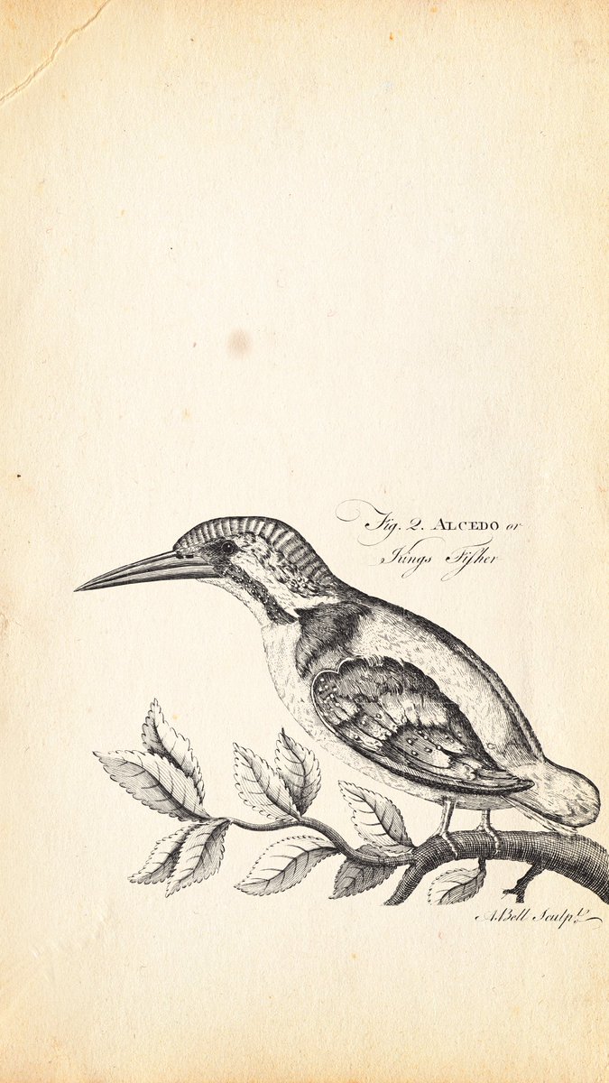 Britannica's tweet photo. Britannica first edition phone wallpapers https://t.co/1pV0aCJ9Gn