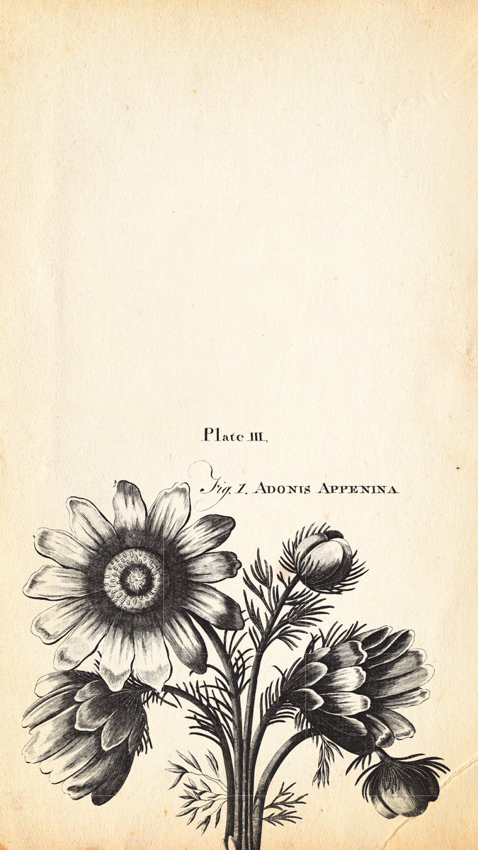 Britannica's tweet photo. Britannica first edition phone wallpapers https://t.co/1pV0aCJ9Gn