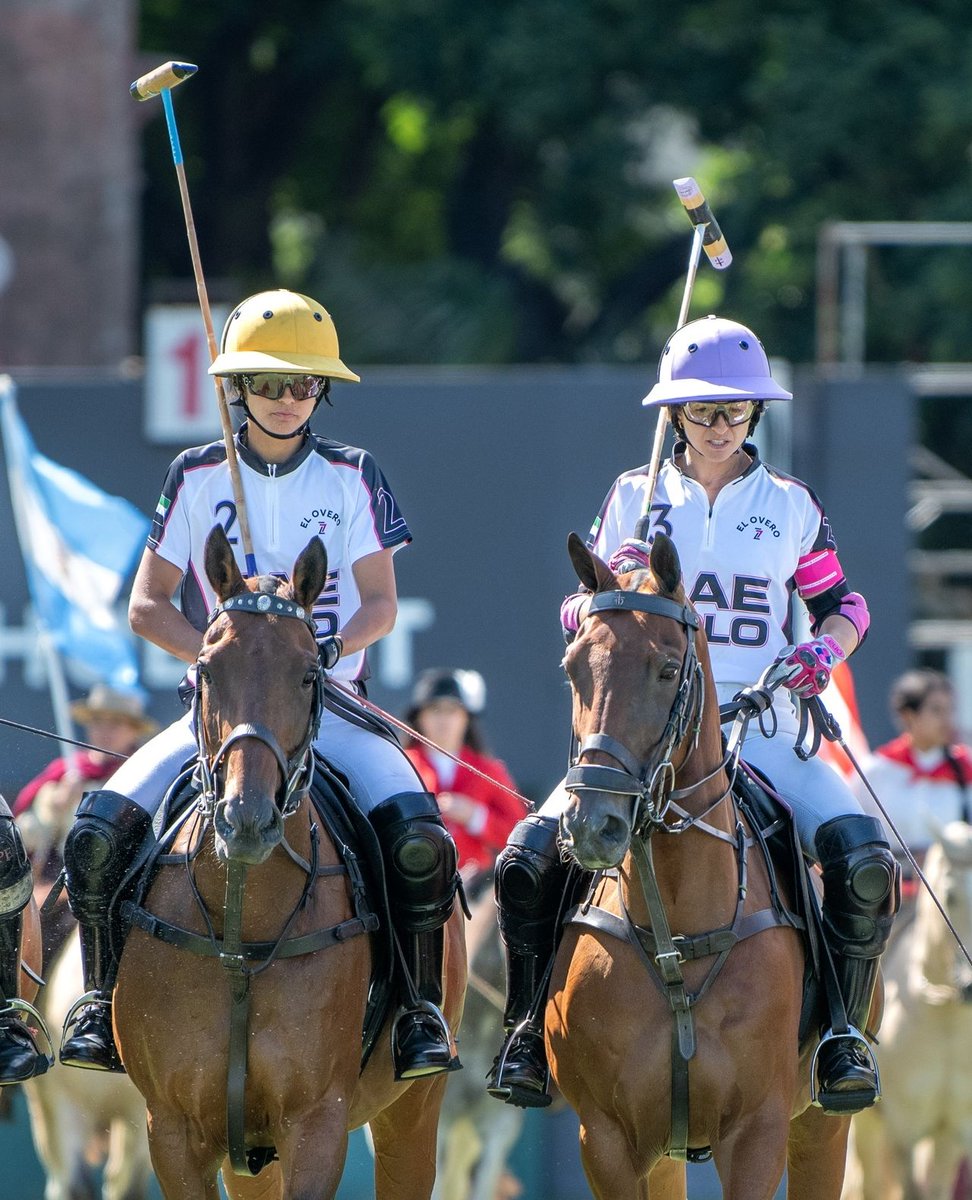 Global Polo tweet media