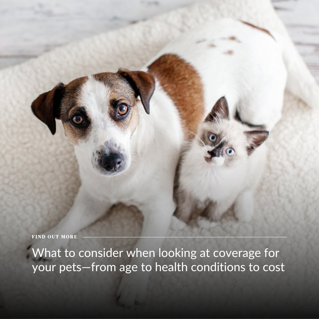 Chubb wants every pet parent to have access to the best veterinary care for your pet, which is why we’re excited to have Healthy Paws in the Chubb family.

See what consider—from age to health conditions to how much it will cost—bit.ly/4gbzUF3

#HealthyPaws #PetInsurance