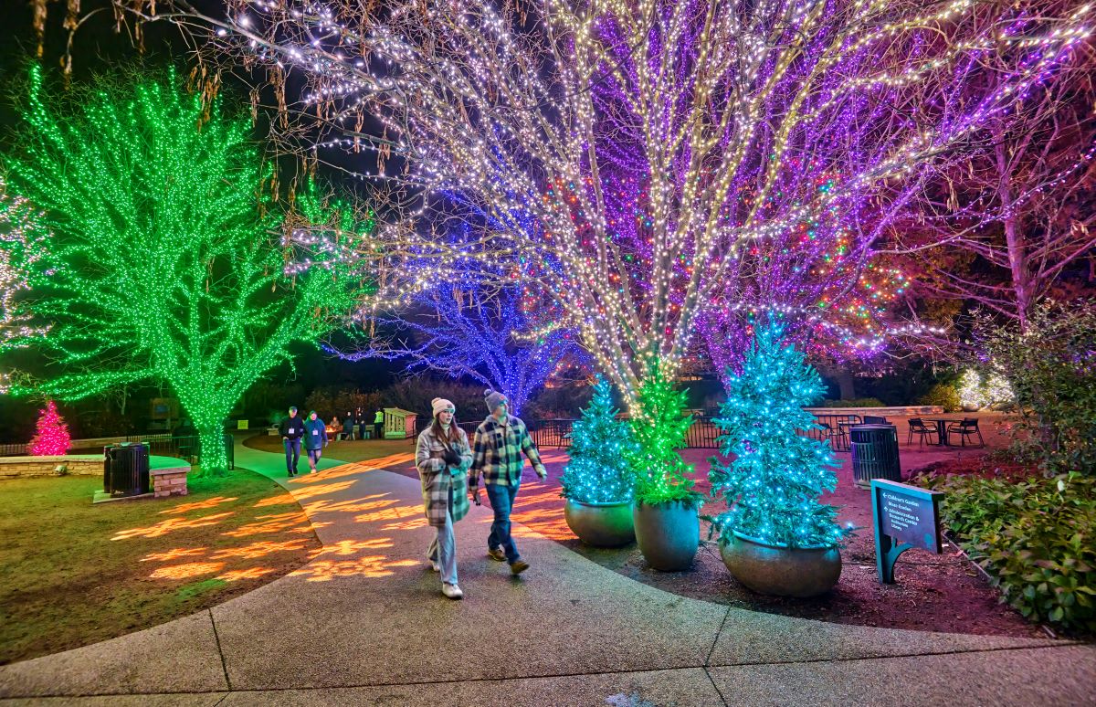 Purchasing advance weeknight tickets to Illumination: Tree Lights at The Morton Arboretum is a great value, and you’ll enjoy fewer people on the milelong Illumination trail than on sold out weekends. Get your weeknight tickets today and save: bit.ly/4bQzxNn.