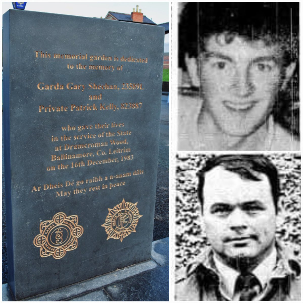 David Hicks tweet media