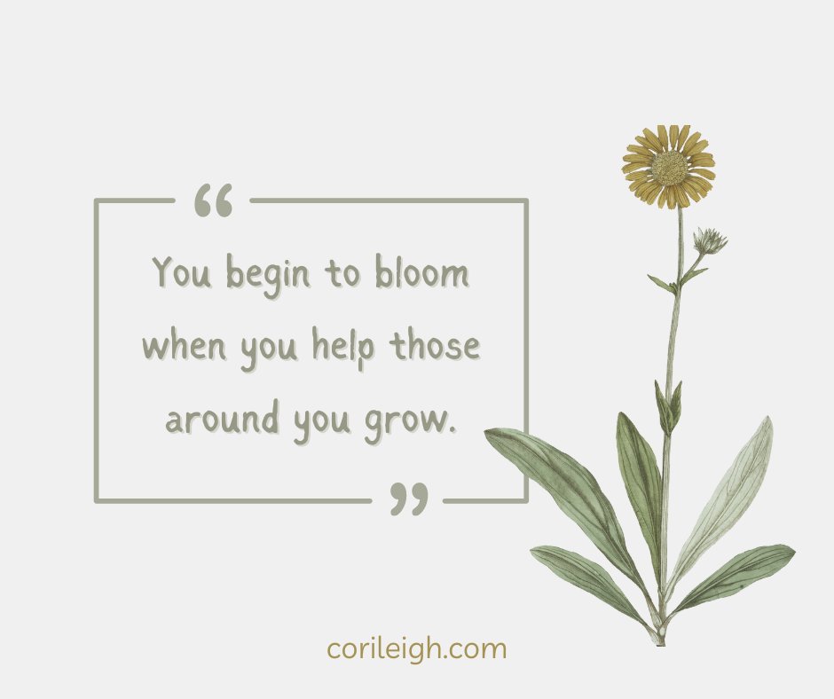 corileighwrites's tweet photo. https://t.co/tsD6FRNOxr