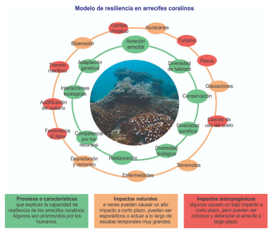 SCMEcologia's tweet photo. #SCME Pág12 https://t.co/EKSwavS9Uv Conceptos en Ecología: La resiliencia ecológica
Héctor Hugo Nava Bravo (UMSNH) sostiene que el concepto en sistemas ecológicos, aparece con C. S. Holling, que sugirió analizar capacidad de ecosistemas para lidiar con cambios y reorganización https://t.co/EFzznWbtCM