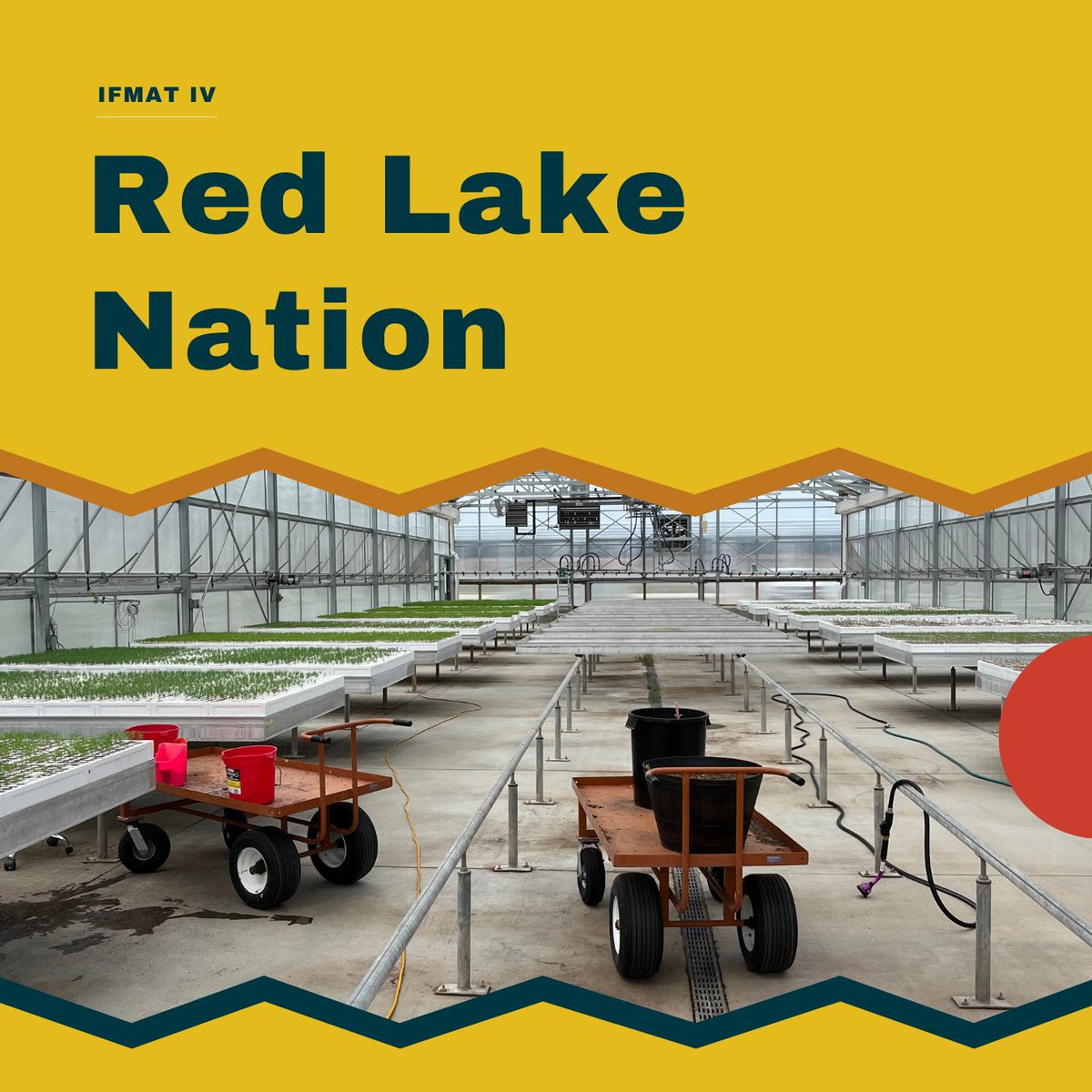 Intertribal_TC's tweet image. 🌲✨Exploring Tribal Forests: Red Lake Nation🌲 
The Indian Forest Management Assessment Team toured 37 tribal forests, including meeting with the Red Lake Nation in July 2022. Read the full IFMAT report at online.flippingbook.com/view/719646412/  
 #IFMATIV #IndianCountry