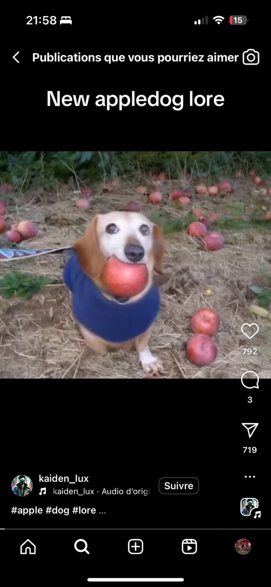 Hitch2X's tweet photo. Mais c’est devenu une paralysie du sommeil les réel insta 1 réel sur 2 c’est le chien avec ça pomme 😭😭 ou l’autre chien qui rap en Chinois Je suis BlackList ouuu !?!??
#insta #instagram https://t.co/Aof2AQuO9B