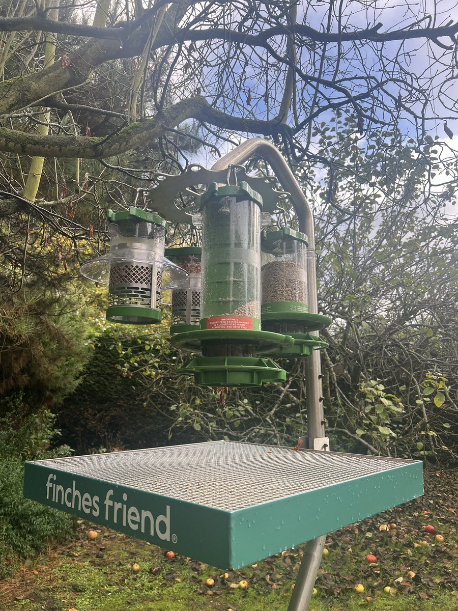 Finches Friend tweet media