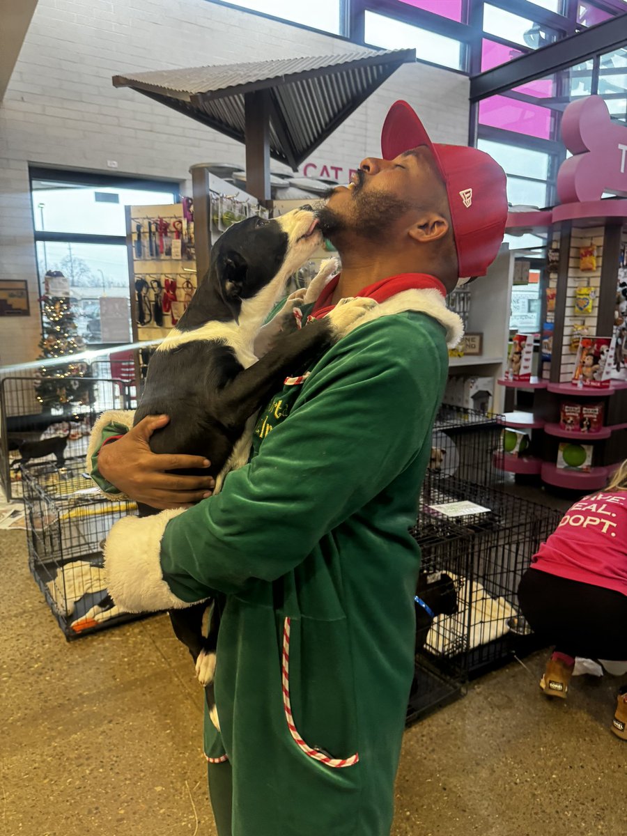 iamrodneysmith's tweet photo. At one of a kind pet rescue I  met two incredible dogs who are in need of loving forever homes. The first is a sweet black puppy, possibly a Labrador mix, with shiny black fur and a small patch of white on its chest. Its gentle eyes and curious nature make it a heart-melting companion. The second is an energetic black-and-white pup, likely a lab mix, whose playful spirit is evident in the way it lovingly licks and engages with people. Both dogs are full of affection and just waiting for the chance to bring joy to someone’s life. These precious pups deserve a warm, caring home where they can thrive and be part of a family. If you’re ready to open your heart and home, please consider adopting these lovable pups — they’re waiting for you to make their dreams come true.