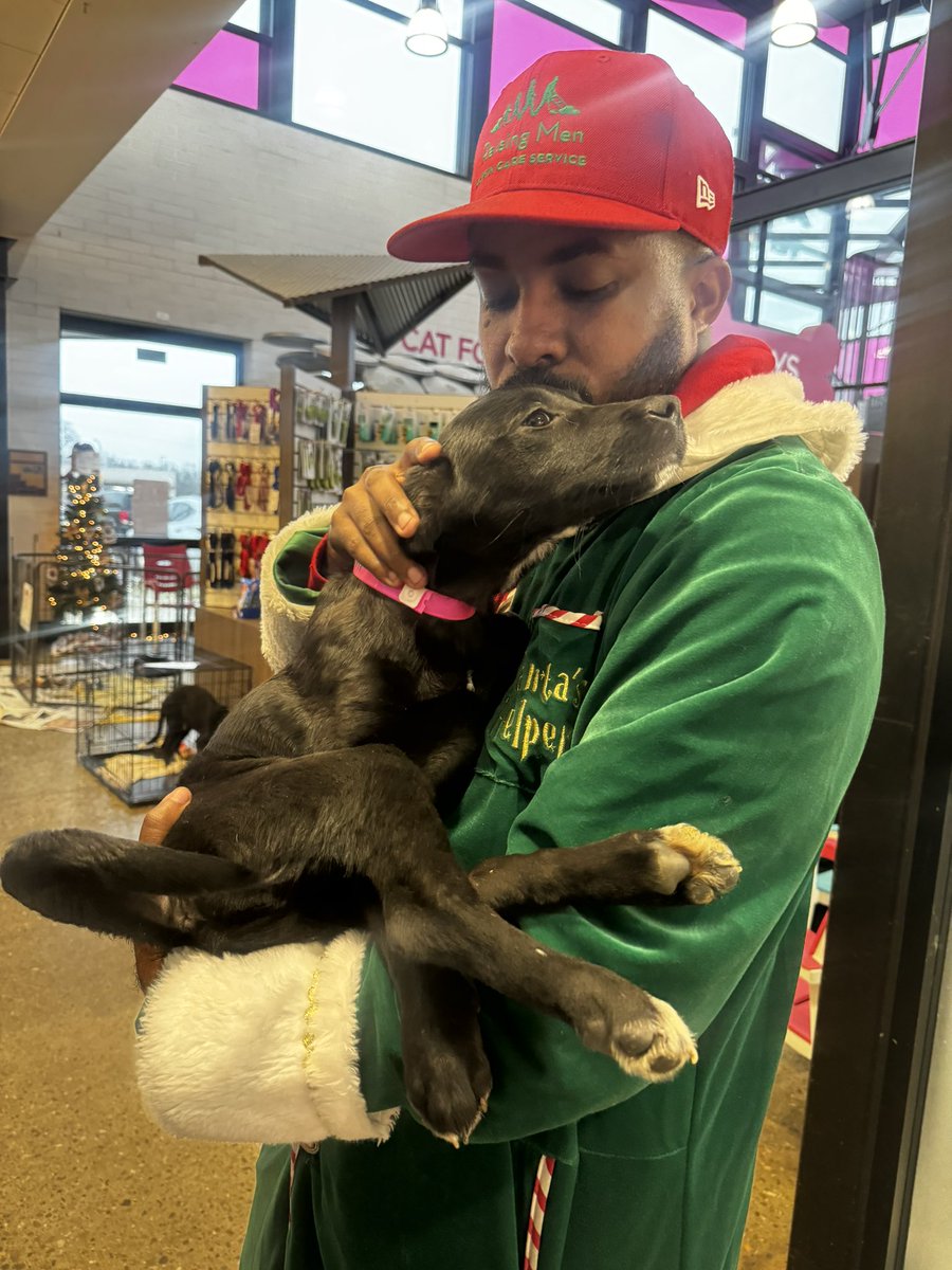 iamrodneysmith's tweet photo. At one of a kind pet rescue I  met two incredible dogs who are in need of loving forever homes. The first is a sweet black puppy, possibly a Labrador mix, with shiny black fur and a small patch of white on its chest. Its gentle eyes and curious nature make it a heart-melting companion. The second is an energetic black-and-white pup, likely a lab mix, whose playful spirit is evident in the way it lovingly licks and engages with people. Both dogs are full of affection and just waiting for the chance to bring joy to someone’s life. These precious pups deserve a warm, caring home where they can thrive and be part of a family. If you’re ready to open your heart and home, please consider adopting these lovable pups — they’re waiting for you to make their dreams come true.