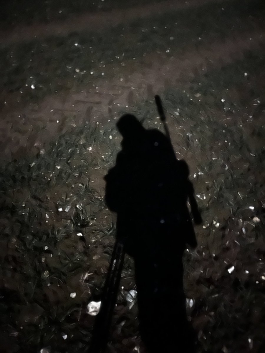 On night manoeuvres….