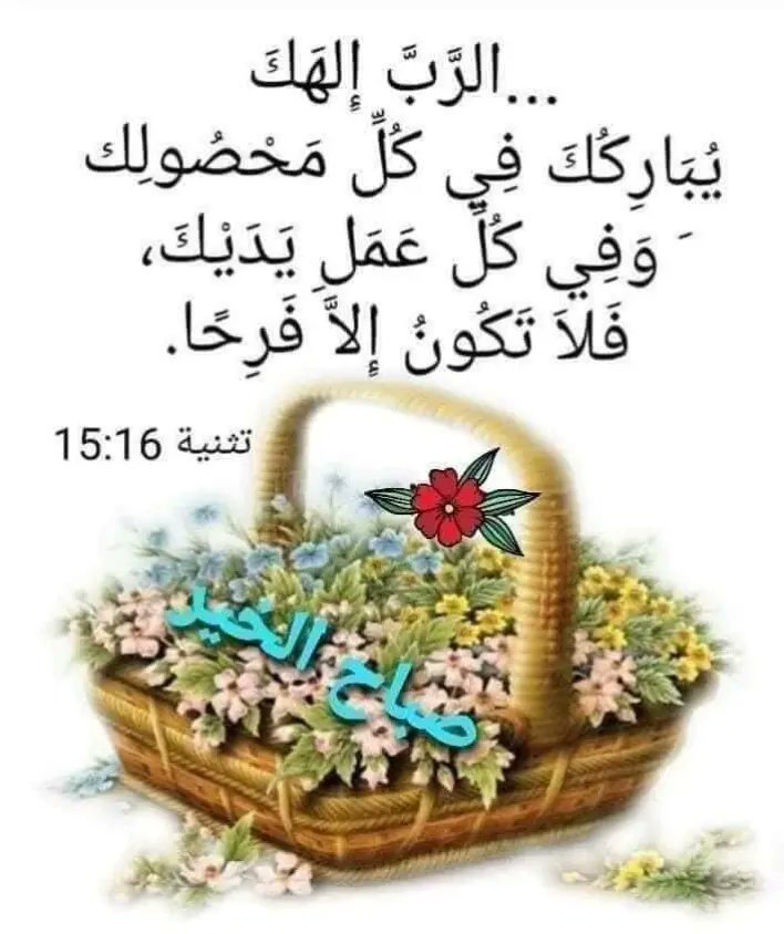صباح البركه لحياتكم احبائي ،🌹🙏🌲