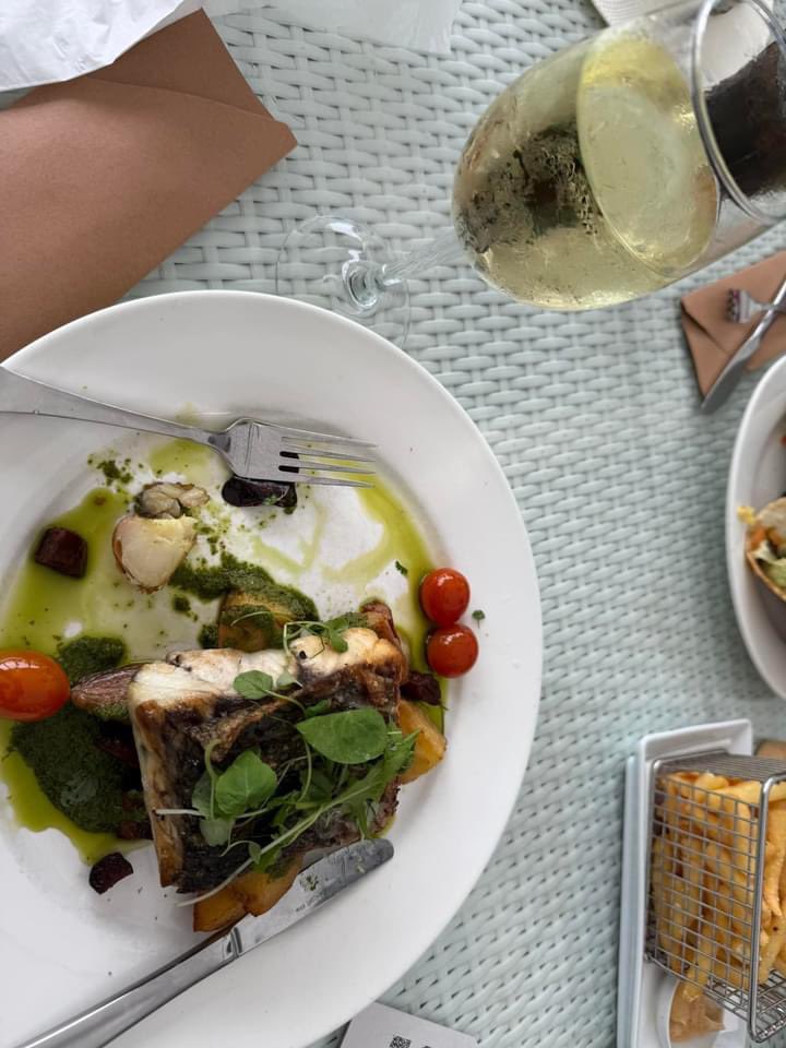 #MerryChristmas2024 🕊️