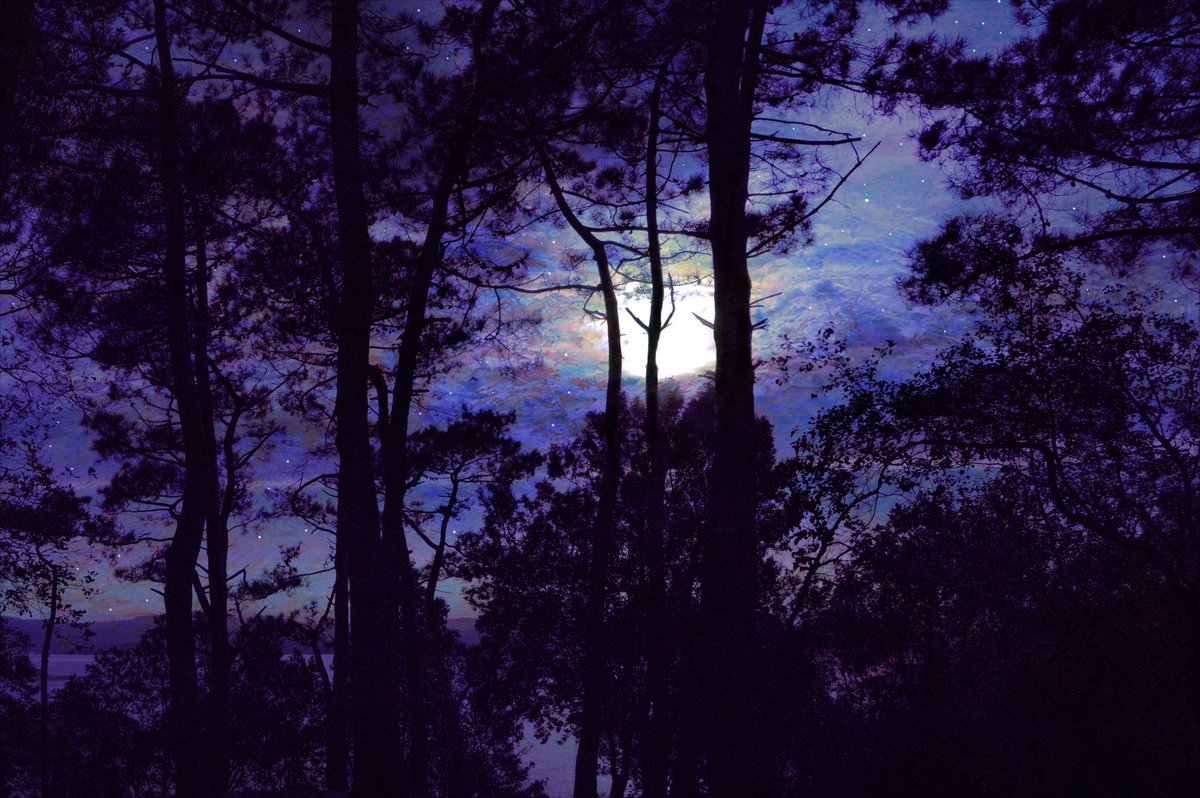 samanthacavet's tweet photo. Dreaming in purple https://t.co/hduk6yuDfd