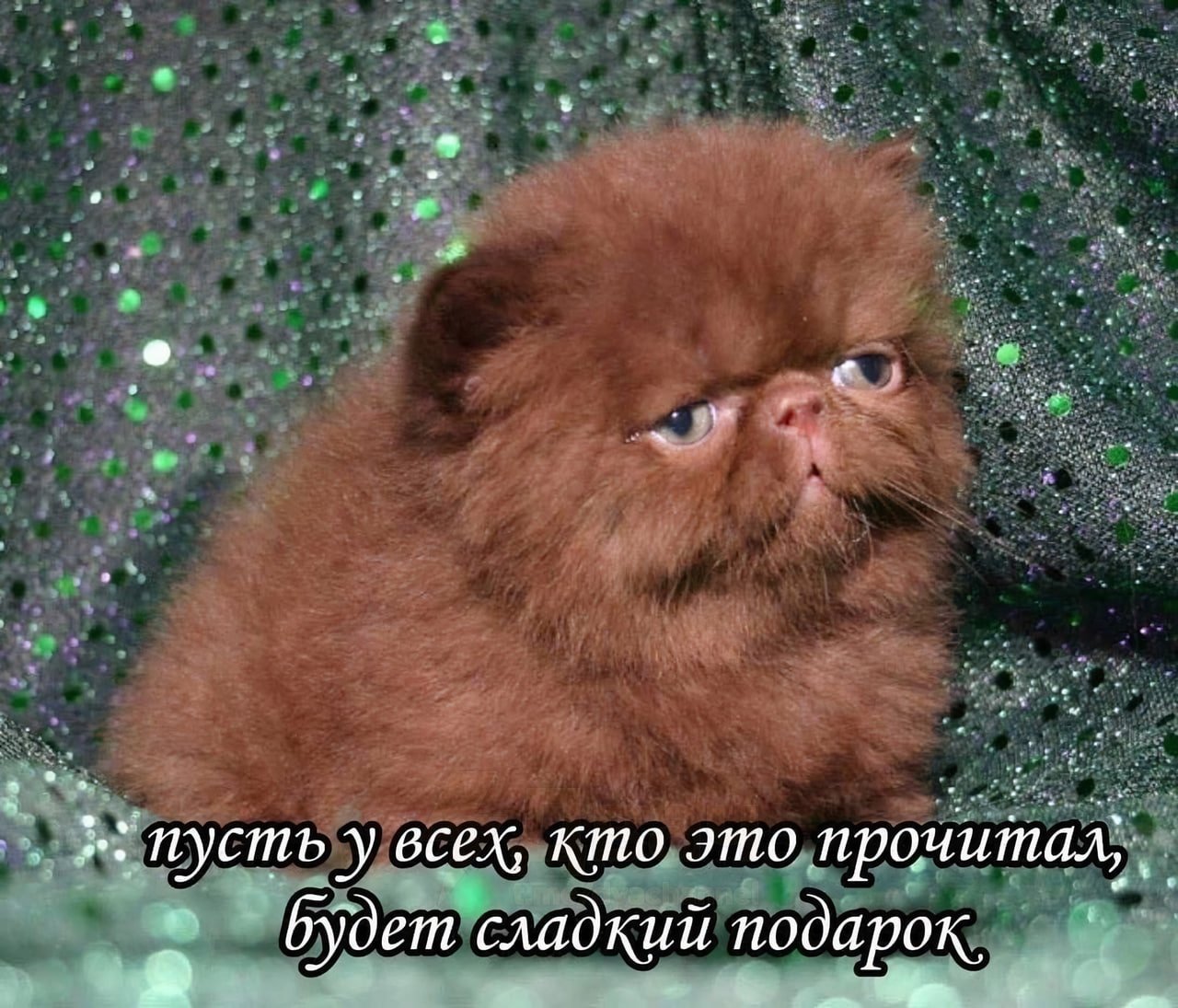 arhivach.org попки [[[[лолитки  