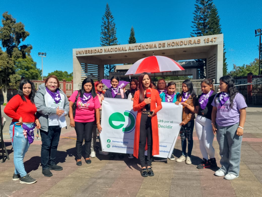 🪻Ante la difusión de  información maliciosamente errónea sobre la píldora anticonceptiva de emergencia PAE💊 por parte de la jerarquía católica , la dirigencia evangélica y otros grupos conservadores nos pronunciamos hoy públicamente organizaciones feministas, plataformas de