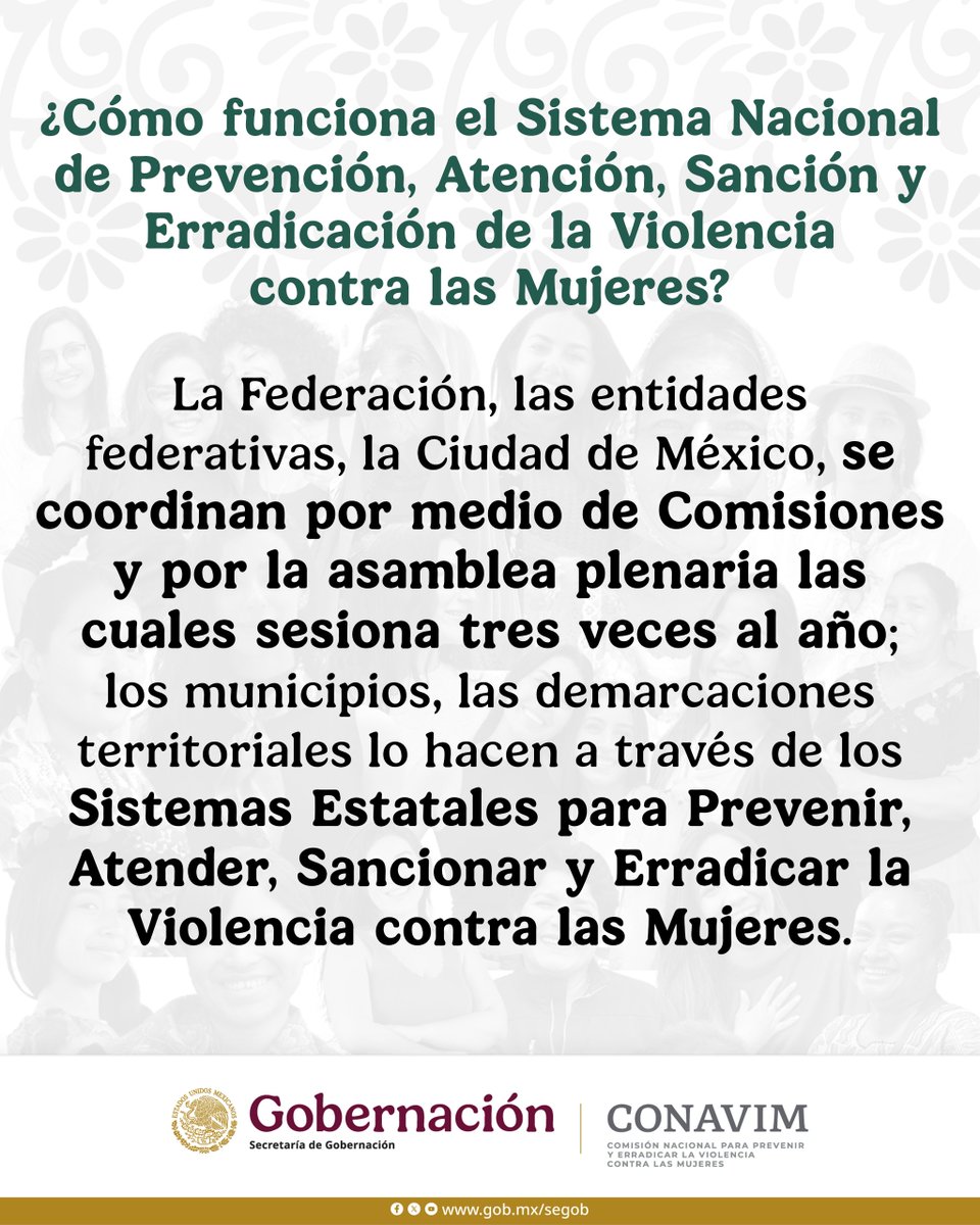 El Sistema Nacional funciona a través de comisiones, cuya tarea es facilitar la implementación de políticas públicas y la ejecución del Programa Integral.