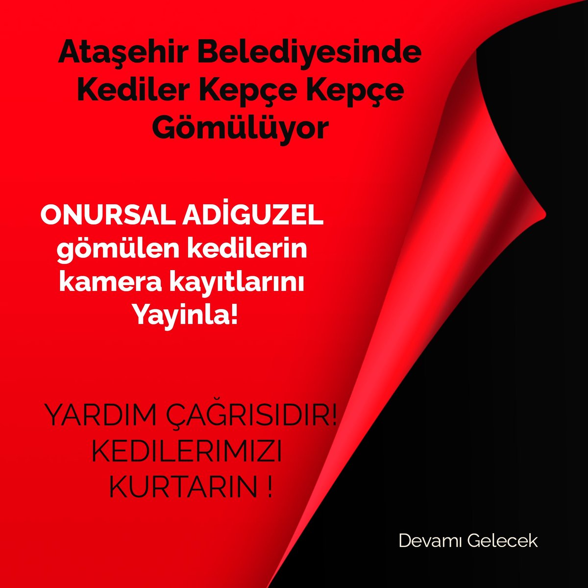 Kedilerimizi kurtarın. 
Yöneticin senden habersiz iş yapamaz <a href="/onursaladiguzel/">Onursal Adıgüzel</a> 
Talimat sizden !
Kepçe Kepçe gömdüğünüz kediler senden daha Atasehirli
Kafeslere tikip umraniye ölüm kampina yolladığın hayvanlar senden daha Atasehirli <a href="/onursaladiguzel/">Onursal Adıgüzel</a> <a href="/atasehirbld/">Ataşehir Belediyesi</a>