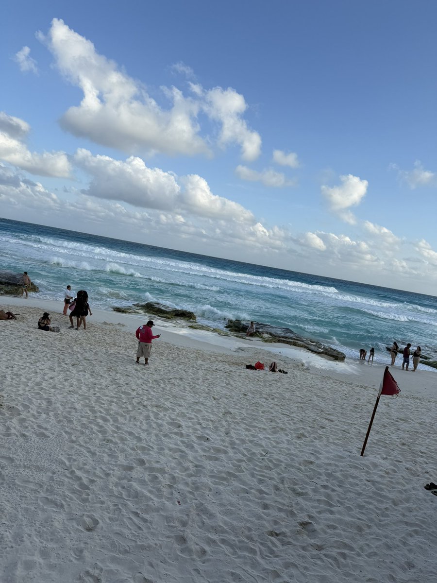 Servablez's tweet photo. 🏝️🔥 https://t.co/5i5ZgPAwzf