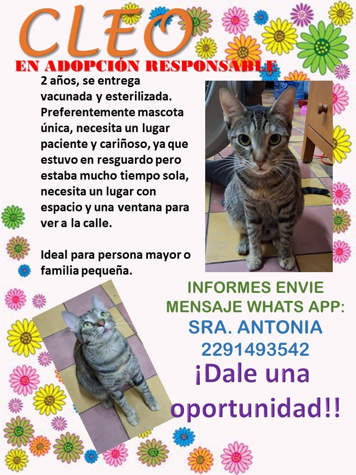 U.P.A.L (UNIÓN PRO ANIMAL LIBRE) tweet media