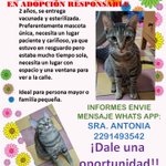 Photo by U.P.A.L (UNIÓN PRO ANIMAL LIBRE) (@UPALmx)