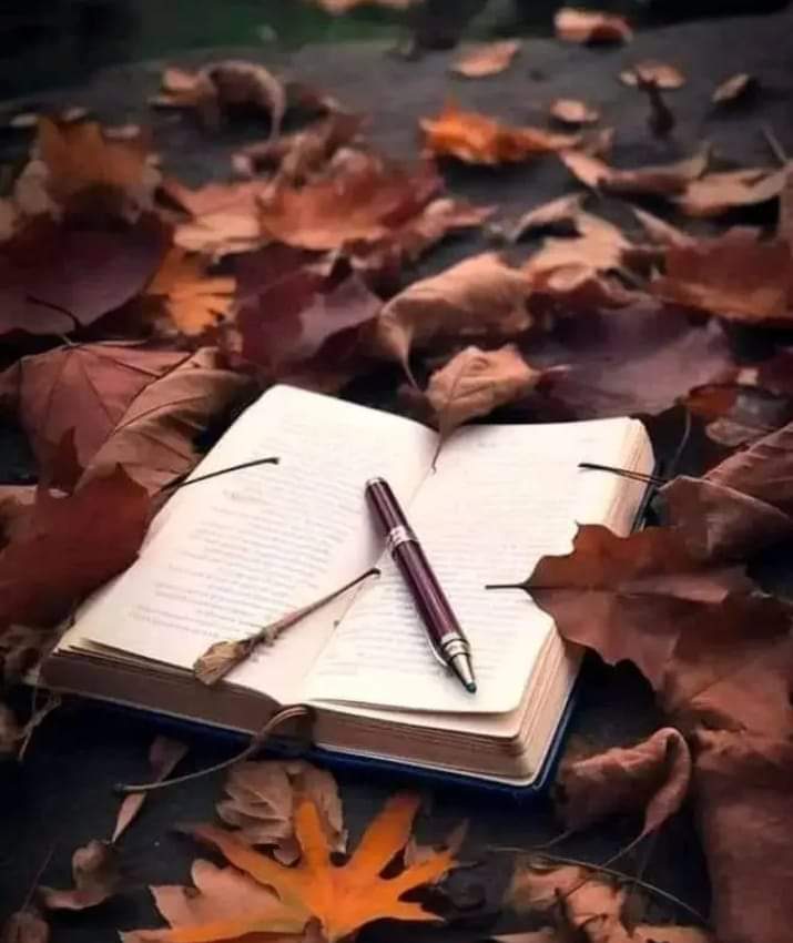 tumtakk's tweet photo. #تم_تک 
شب بھر کے ٹھکانے کو، اِک چھت کے سِوا کیا ھے
کیا وقت پہ گھر جانا، کیا دیر سے گھر جانا

محسن نقوی

#tumtakk https://t.co/WwV7N9ibud