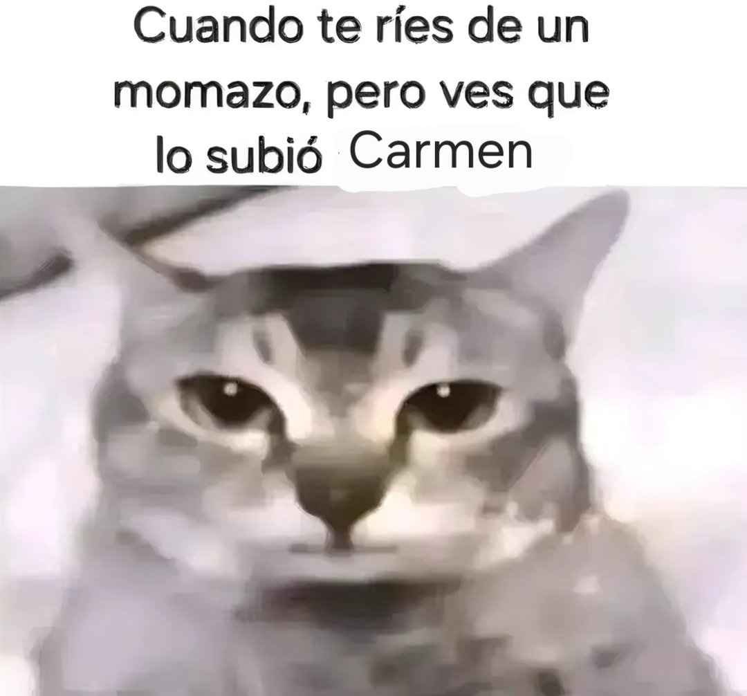 alangonza7 tweet media