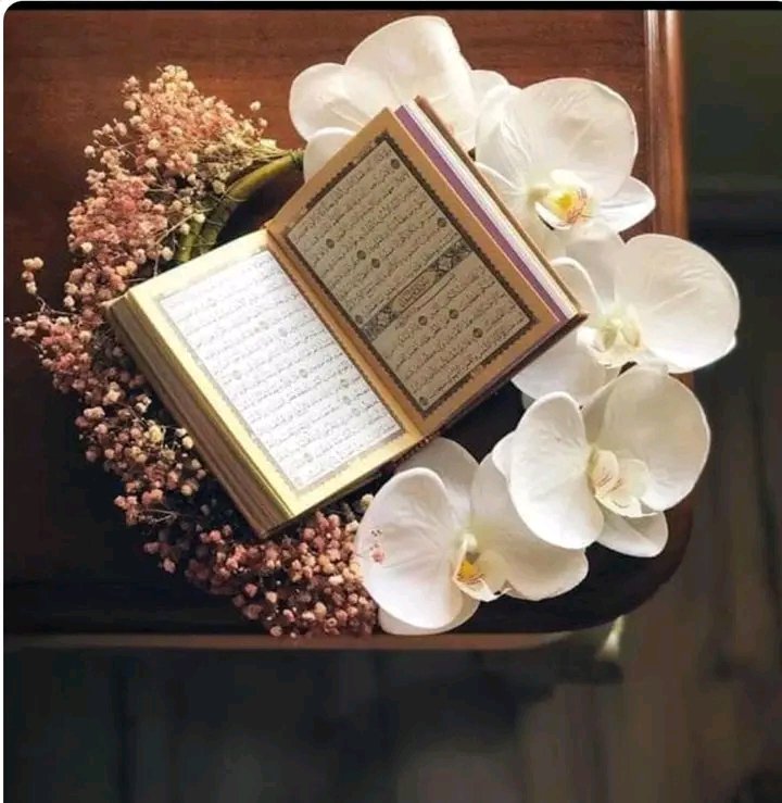 Asslam o ALAIKUM 
Subha Bakhair 

*ہر دن انسان بڑھ رہا ہوتا ایک قدم*
*یا تو اللہ کے قریب*
*یا تو اللہ سے دور*

 *تو سوچیں..…* 
*کیا یہ افسوس کی بات نہیں کہ سارا دن گزر جائے اور ہمیں ایک صفحہ قرآن کی تلاوت کی توفیق نہ ملے نماز کی توفیق نہ ملے*

*سوچیے گا ضرور !*