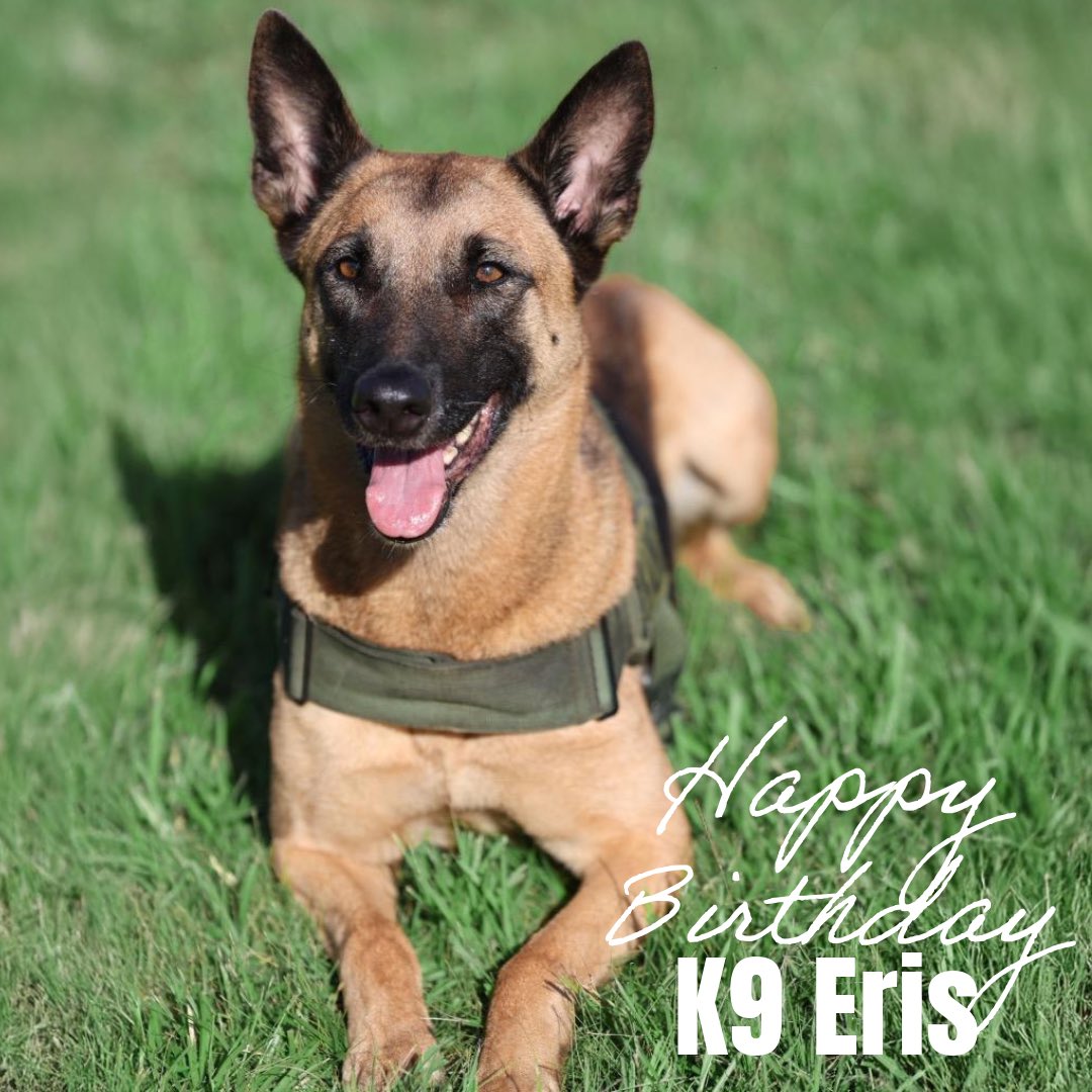 Happy Birthday to K9 Eris! 🎉 #TeamSJSO