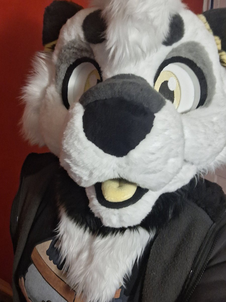 WombatTheWomboi's tweet photo. Thank you too @milozaard for making this amazing fursuit! Its super cute, comfy, and soft! https://t.co/ZjNFcvV6hL