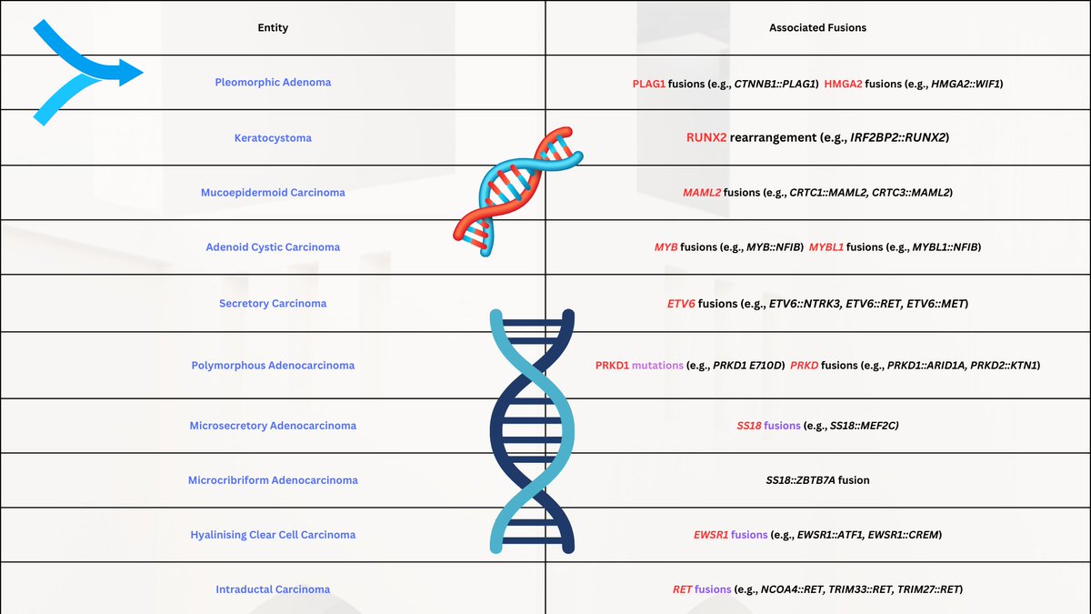 Fusions in salivary gland neoplasms: a review of practical diagnostic applications. Justin A Bishop     bit.ly/4it52BG