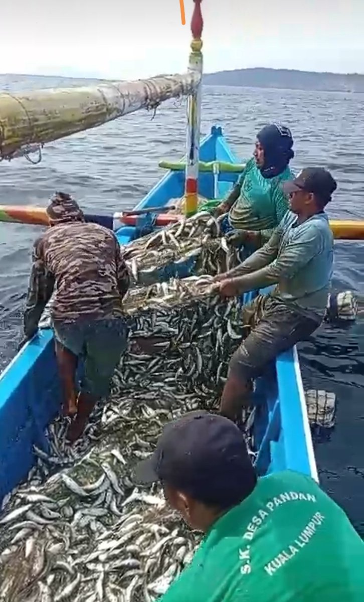 patria_ibi's tweet photo. Senin(16/12), Ibi Patria, S.Pi, Luhkan Kab. Jember, Ds Mojomulyo, melaporkan tangkapan an. Sholihin, Ikan Lemuru sebanyak 1210 kg, harga 4.000/kg, alat tangkap jaring insang hanyut #GiatLuhkanSatminkalBwi #Jember #tangkap https://t.co/ll58gWGGFs