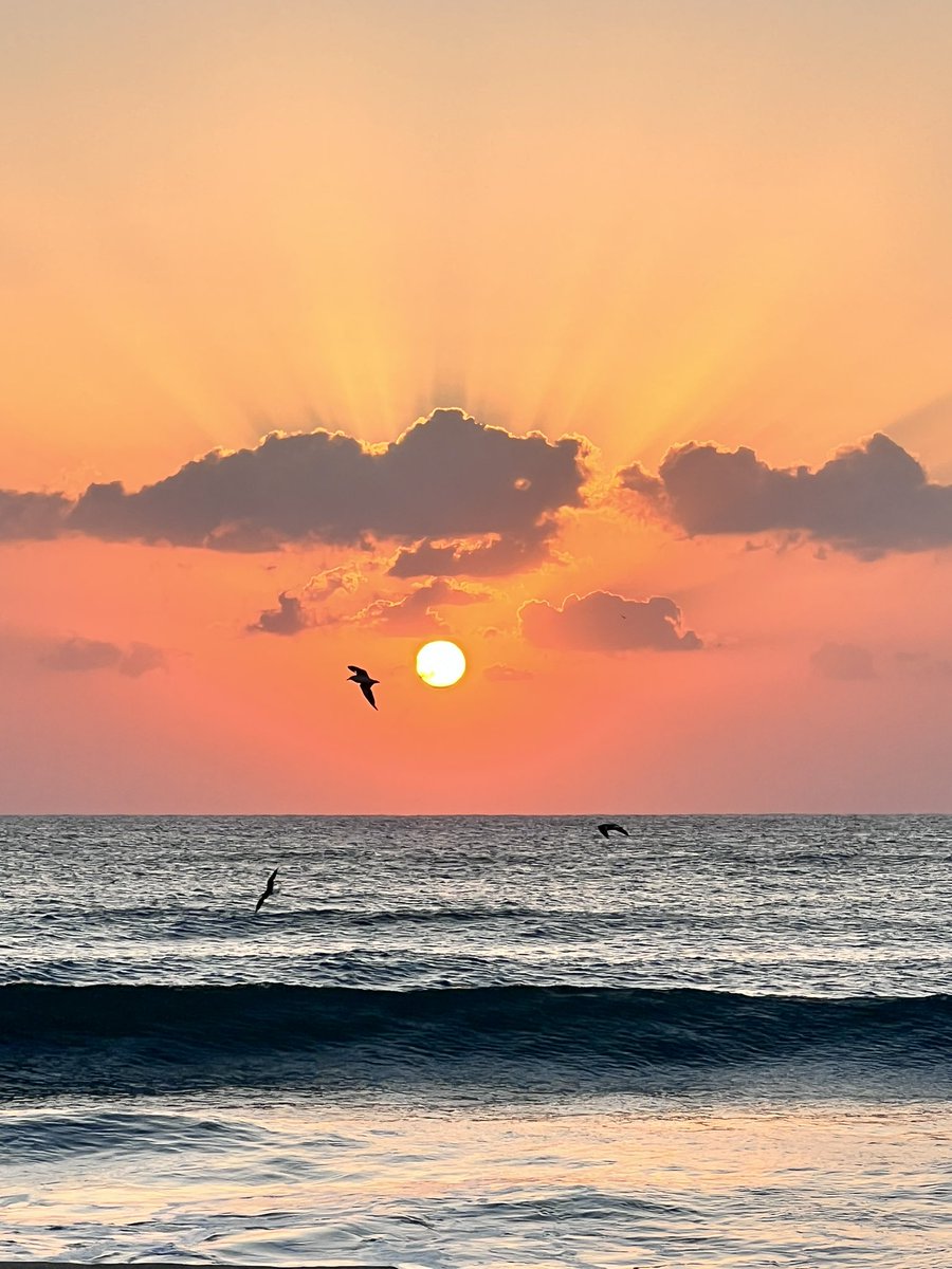 ﴿ *والصبح اذا تنفس* ﴾
اللهَّـــم آڪــتب لـَنا مع أنفاس هذا آلصّباحِ رزقـاً طيـبًا ، ودعواتٍ 
مستـجابة .
صباح الخير ..🌿🍃