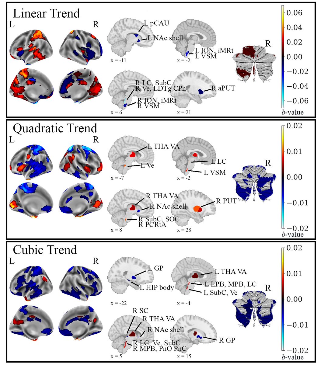 Matthew D. Sacchet tweet media