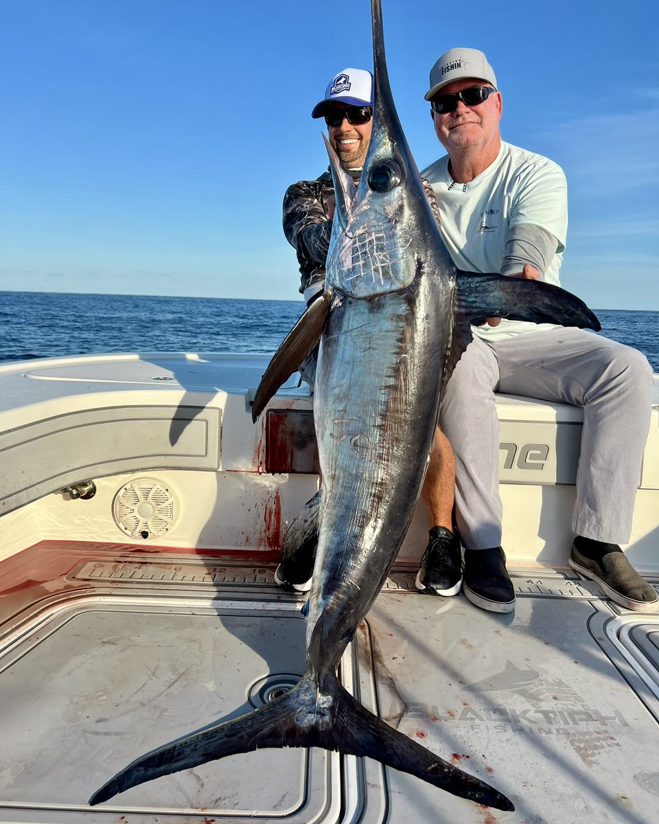 BlacktipH tweet media