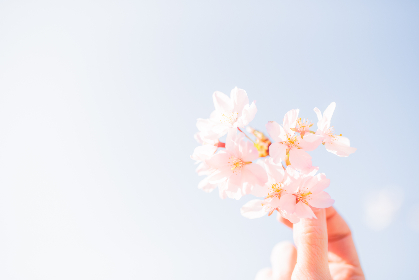 A strengthening dollar, driven by expected trade tariffs and reduced interest rate cuts, made gold pricier for foreign buyers, further pressuring prices.