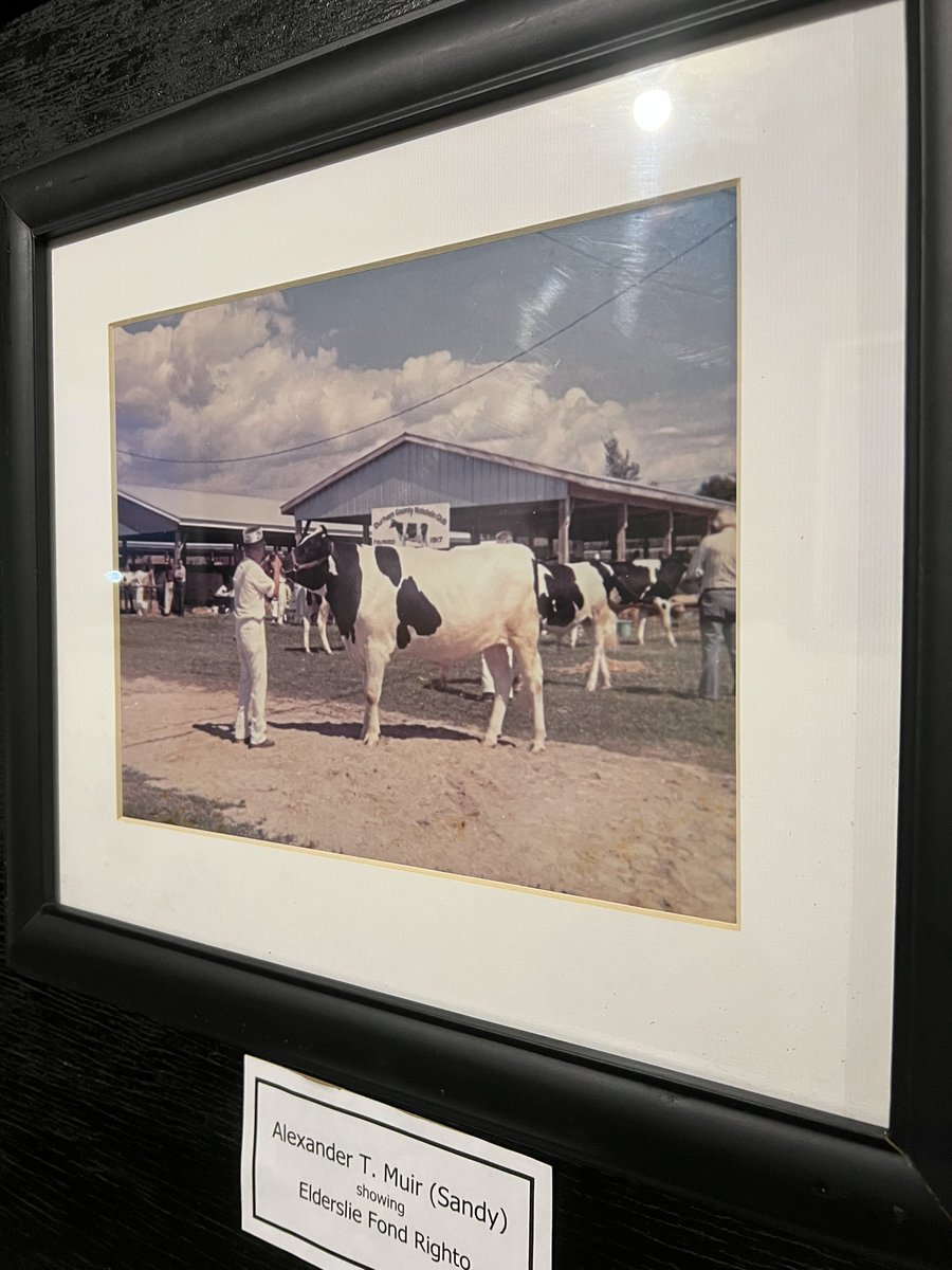 K_Ormiston's tweet photo. Sale tomorrow @ 11 am 🐄 https://t.co/3K5QK6m6K5