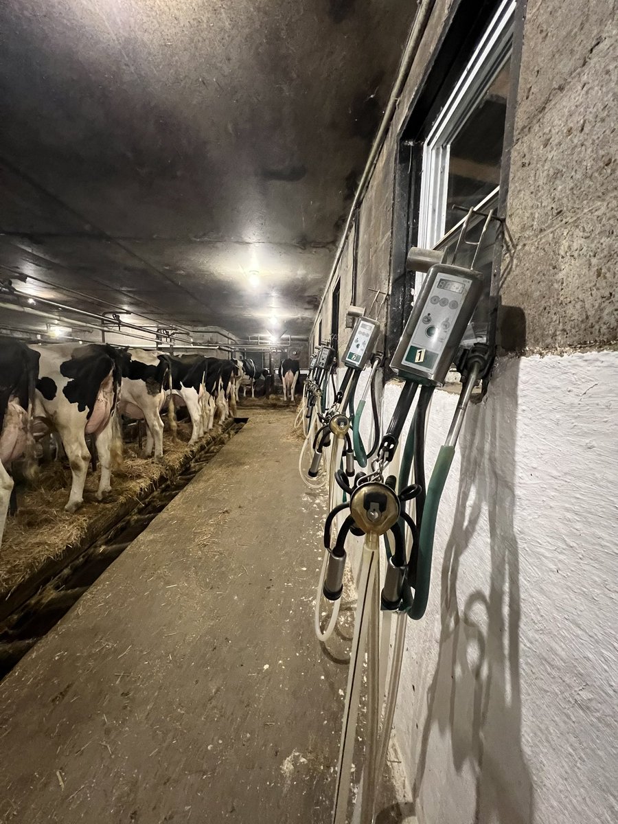 K_Ormiston's tweet photo. Sale tomorrow @ 11 am 🐄 https://t.co/3K5QK6m6K5
