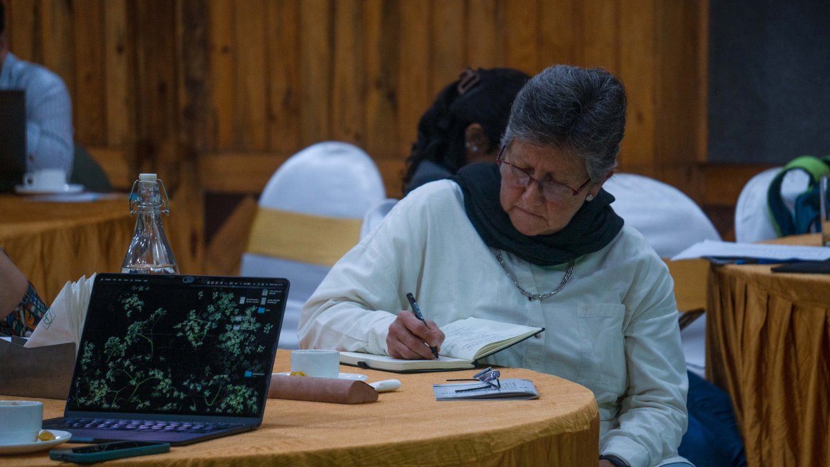 InfoNile tweet media