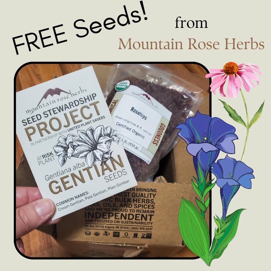 theHERBALCache's tweet photo. I was so excited to get my free Gentian seeds today with my order from Mountain Rose Herbs!⁠
⁠
This is part of their Seed Stewardship Project.⁠
⁠
Buy your favorite herbs and supplies and get your free seeds.  Check them out today at this link: https://t.co/8geoBo22zA https://t.co/cyzRzj1ofc
