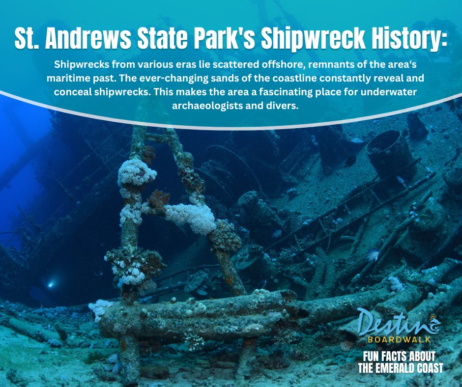 BoardwalkDestin's tweet image. Did you know? 
DestinBoardwalk.com 

#destinflorida #visitflorida #boardwalkdestin
