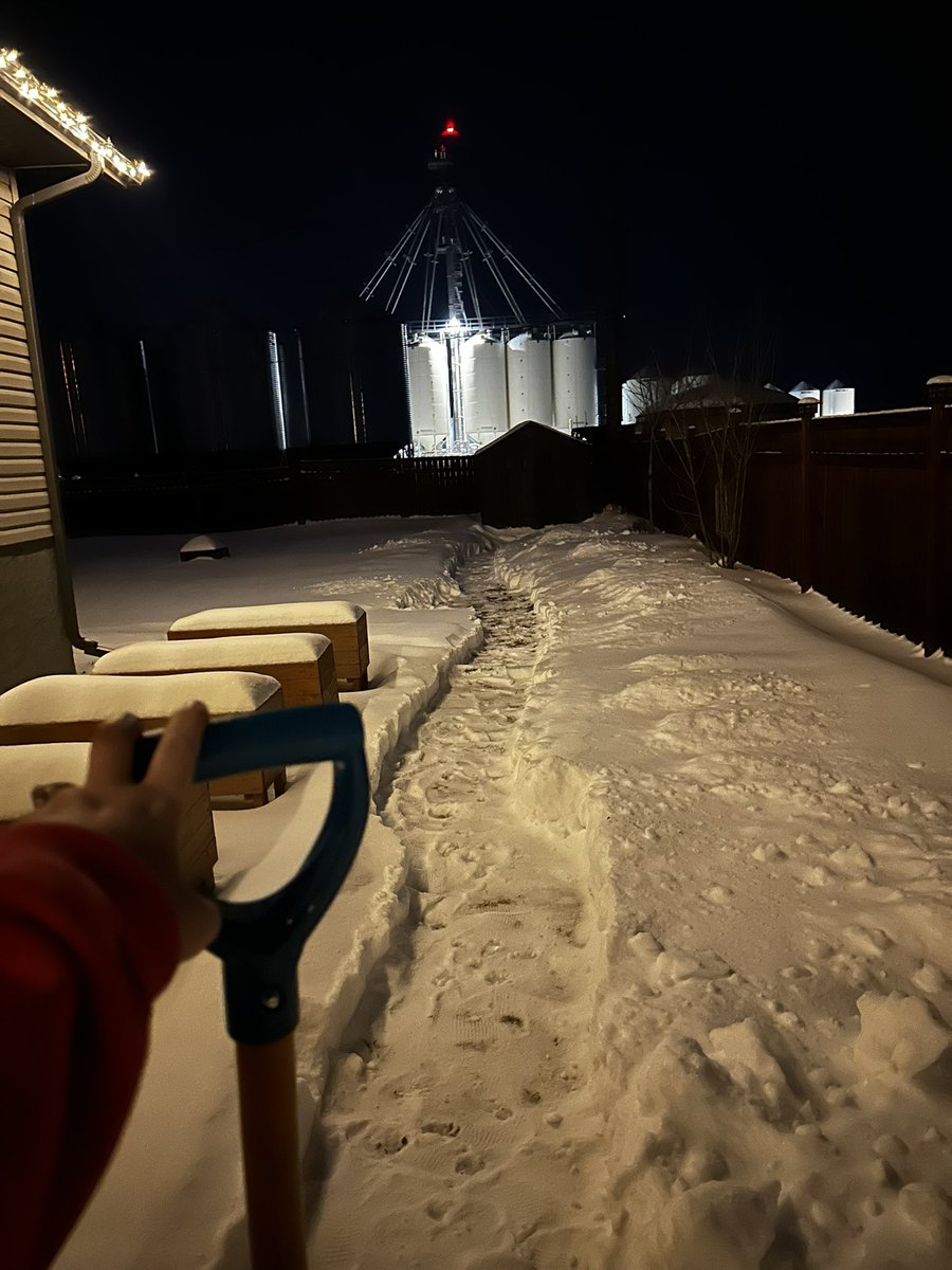Phew! My 🐶 isn’t a fan of deep snow so a shovel a race track for him. It’s a workout. #CTTCSWell2024