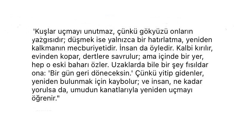 tuncay¹⁷ (@onyedinumara) on Twitter photo 