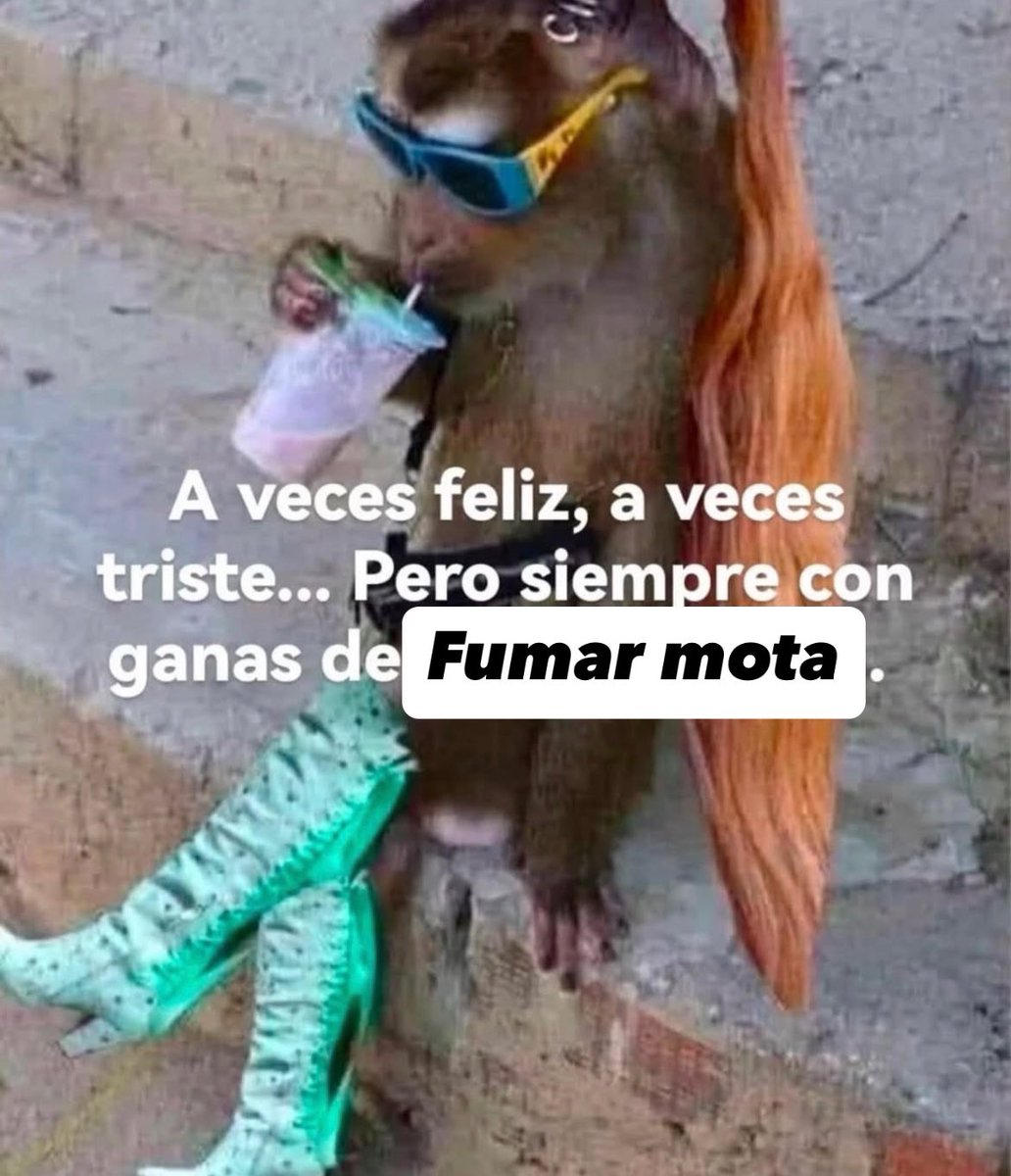 Angel Artesano ॐ (@angeel_artesano) on Twitter photo 