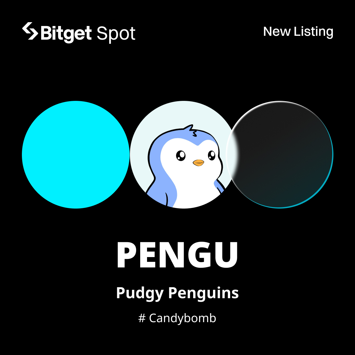 Initial Listing - $PENGU @pudgypenguins 🔹Pair: PENGU/USDT 🔹Deposit  available: now 🔹Trading available: Dec 17, 14:00 (UTC) Details:  https://t.co/KhRCWmF3MO