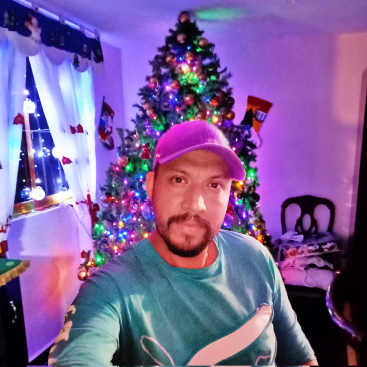 🎄