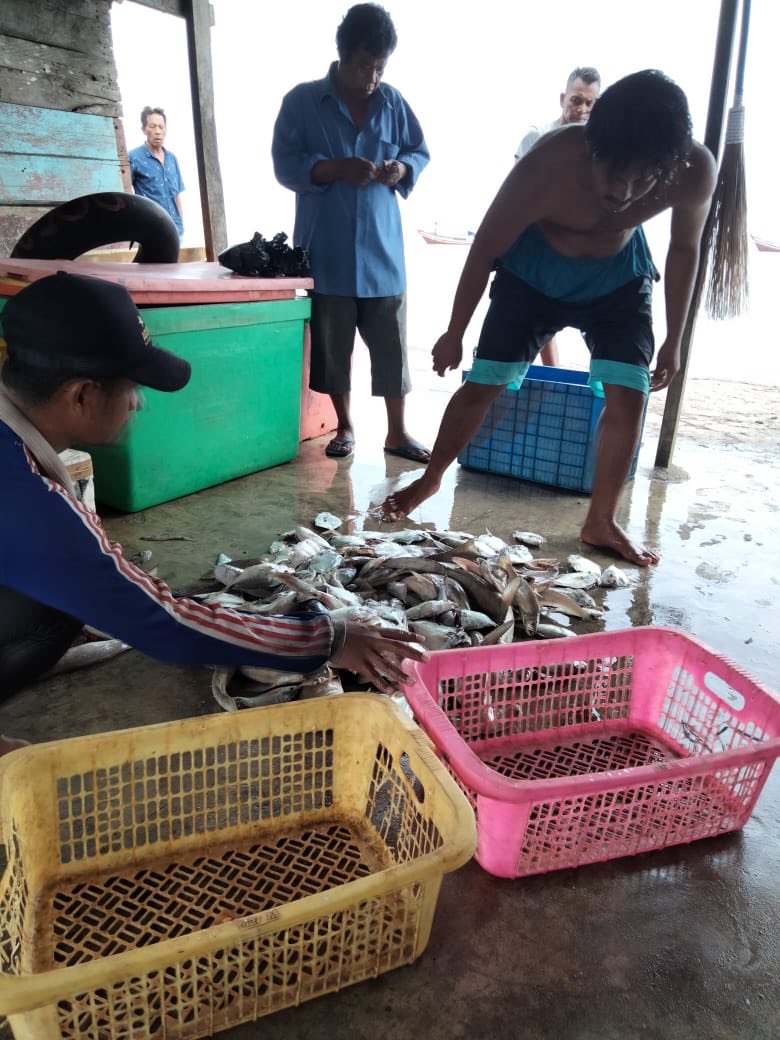 surahman00's tweet photo. Selasa 5-11-2024 Luhkn Kota Bengkulu melaporkan hasil tangkapan KUB Burane An.Mbo dalek ikan rucah sebanyak 50 kg
#GiatLuhkanSatminkalBRPPUPPPembang 
#LuhLapor
#Produksi https://t.co/67klOBvZtZ