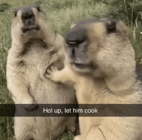 captaincooksol's tweet photo. "Let him $cook " I'm that moment when people doubt, but you know what you're doing is gonna be epic. Don't interrupt, just let me do my thing.

@LetHimCookCoin

https://t.co/ipyDvz8FPd
CA:
G8Vy25NzjRmuQtnN35xF7j3X2Z1TrV39XijZu8Mg4w8n https://t.co/IFXdlDPoBW