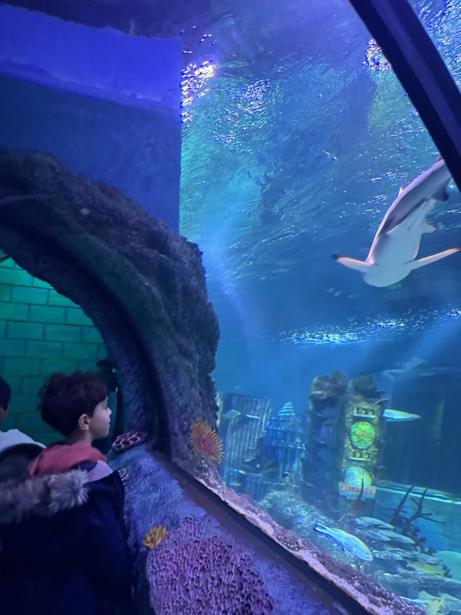 Alyssa Cignetti tweet media