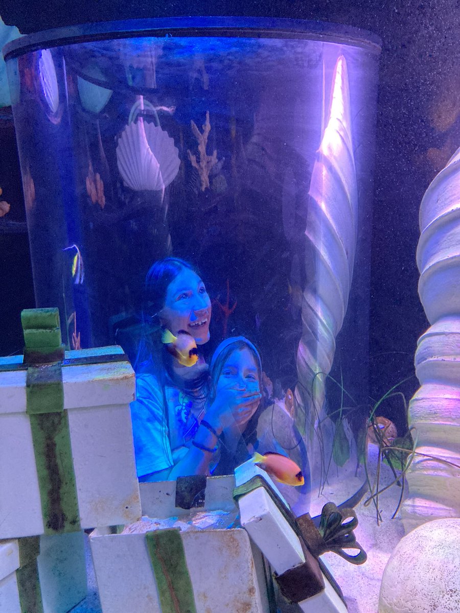 Our aquarium field trip was a splash of learning and fun! 🐠🌊
#Weehawken