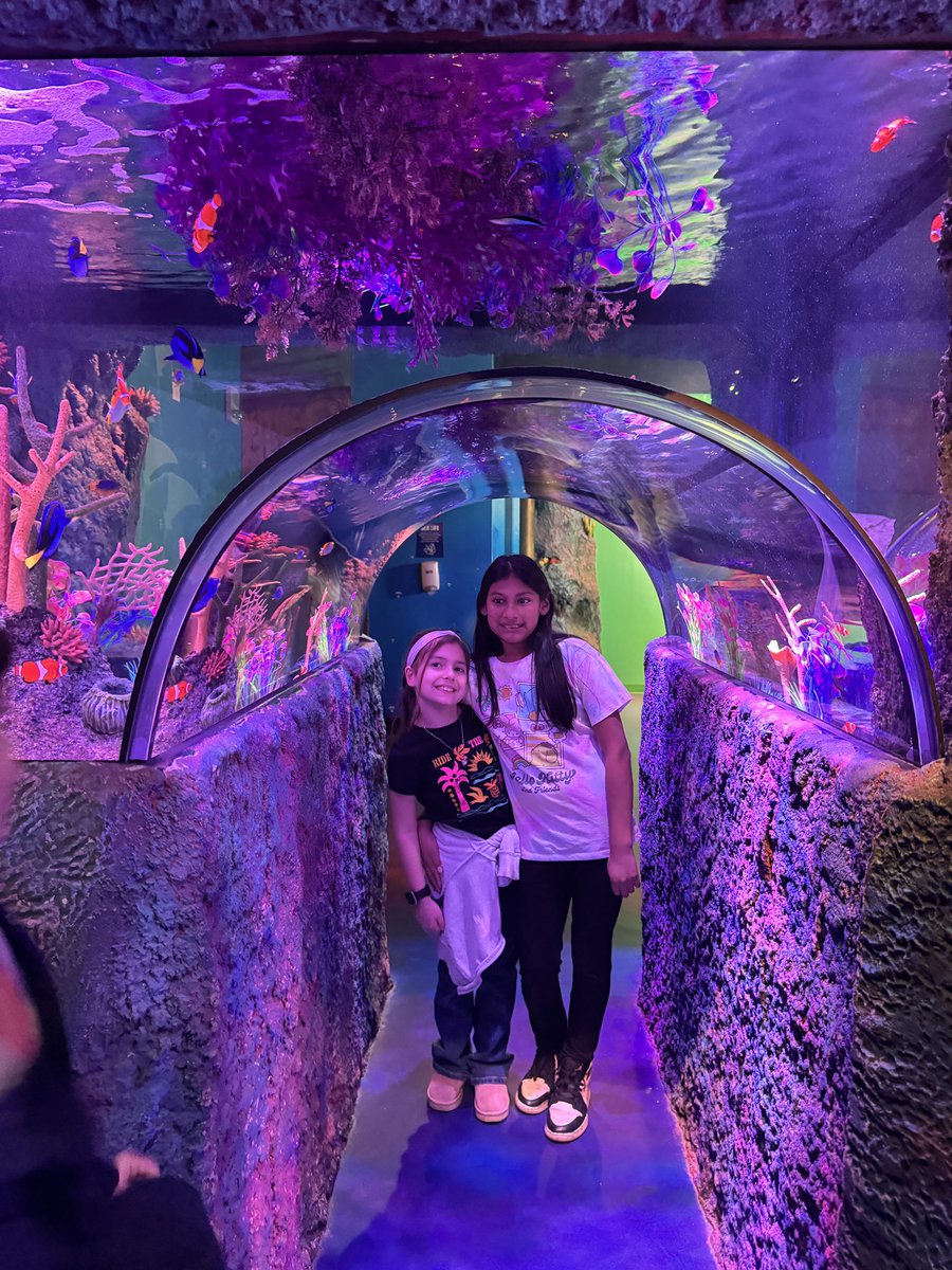 Alyssa Cignetti tweet media